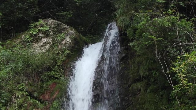 高知県大樽の滝