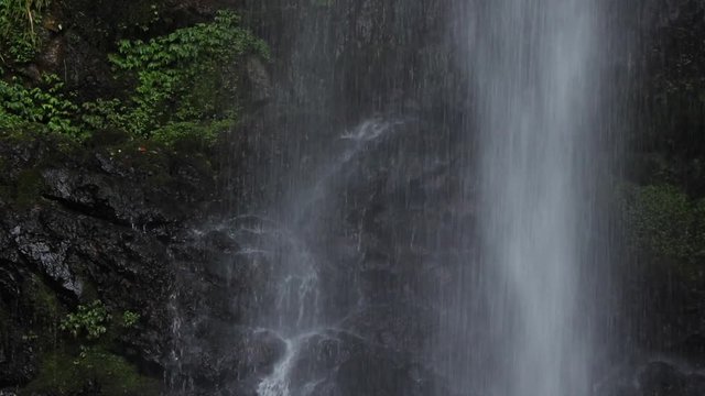 高知県大樽の滝