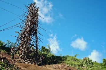 Panngi, Pentecost Island / Vanuatu - MAY 10 2016: Land diving ceremony held by the celebration of...