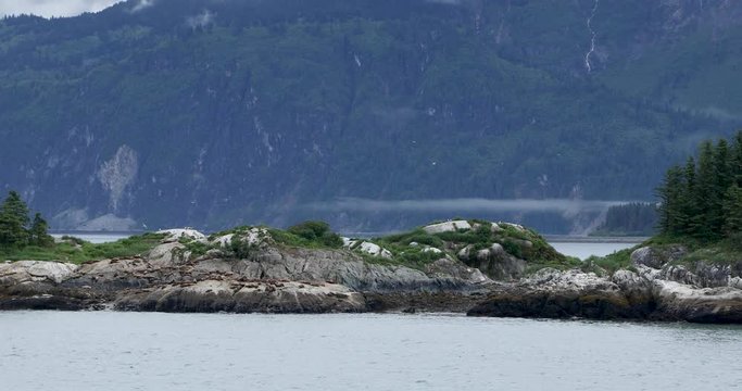 Island on the Gulf of Alaska. Nature's mother is present on this island with wild animals and the forest.