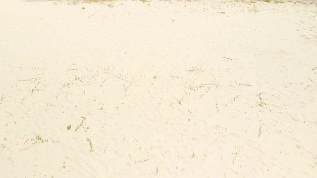 ドローン空撮 夏のビーチ 砂浜から引き