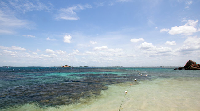 Coral Reef of Pigeon Island National Park off Nilaveli beach in Trincomalee Sri Lanka Asia