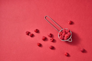 Freshly picked sweet raspberry on a red paper background. Colorful organic berries pattern.