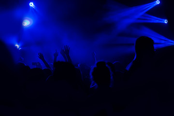 Crowd at concert - summer music festival