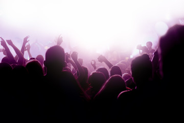 Fototapeta premium Crowd at concert - summer music festival