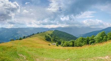 Naklejka na ściany i meble Glade on mountain crest with forest on slopes in Carpathians