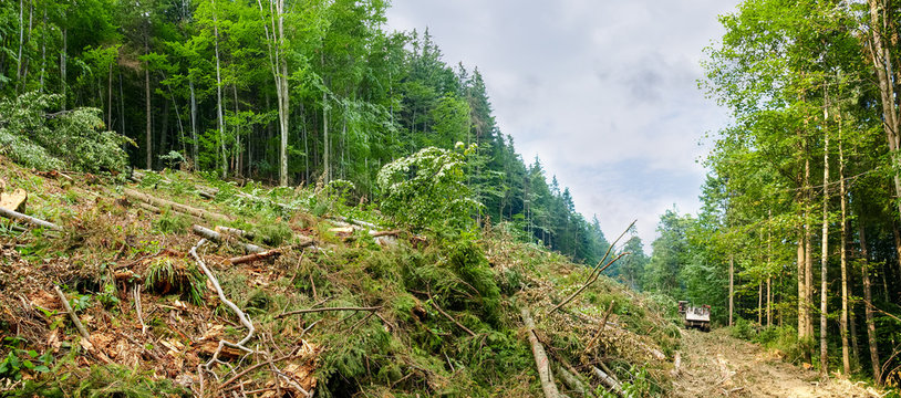 Part of a mountain slope during trees cut down