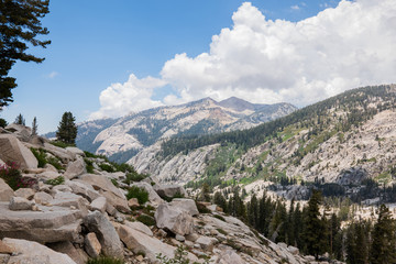 Sequoia National Park