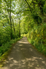 Way of santiago in the pirneos by valcarlos