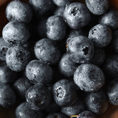 Close-up ripe sweet blueberries in water droplets with soft focus. Blueberries background.