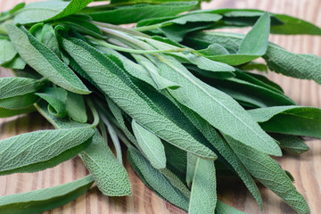 fresh salvia leaves on wooden table macro