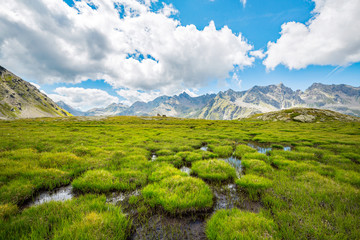 paesaggio in alta montagna