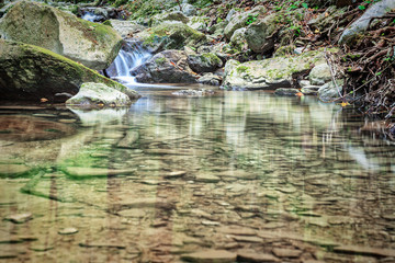 Fototapeta na wymiar Mountain river flowing through the green forest