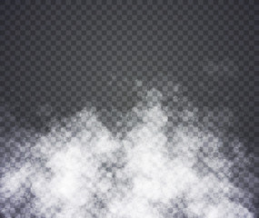 Fog or smoke. Illustration on transparent background. Graphic concept for your design
