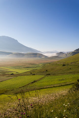 View of Castelluccio di Norcia (Umbria) at dawn, with mist, big meadows and totally empty blue sky