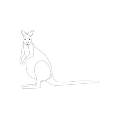 Kangaroo animal illustration