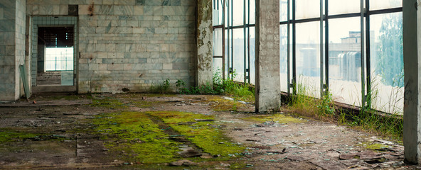 Industrielles Interieur in der alten Fabrik für elektronische Geräte mit großen Fenstern und leerem Boden. Innenraum in einer verlassenen Fabrik, überwuchert mit grünem Moos und Pflanzen.