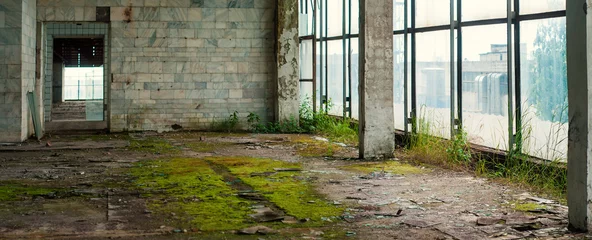 Tuinposter Industrieel interieur in de oude fabriek van elektronische apparaten met grote ramen en lege vloer. Interieur in een verlaten fabriek, begroeid met groen mos en planten. © Viktoria
