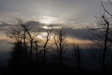 Fototapeta premium Skeletal trees silhouettes in winter, against a warm colored sky at sunset