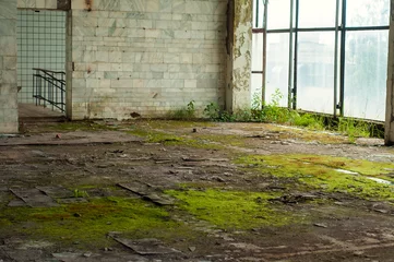 Poster Industrieel interieur in de oude fabriek van elektronische apparaten met grote ramen en lege vloer. Interieur in een verlaten fabriek, begroeid met groen mos en planten. © Viktoria