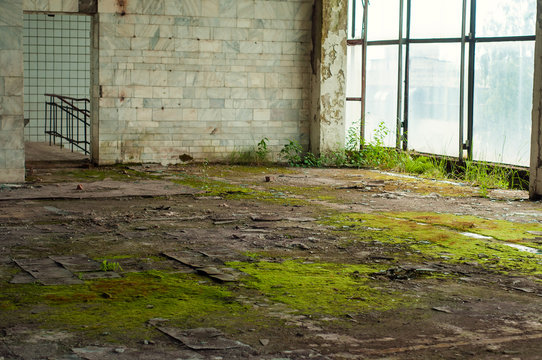 Industrial interior at the old electronic devices factory with big windows and empty floor. Interior inside an abandoned factory, overgrown with green moss and plants.