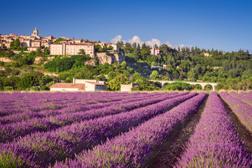 Sault village lavender field in Provence, France