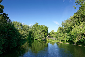 River Stour Wimborne