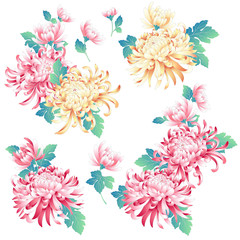 日本的な菊の素材