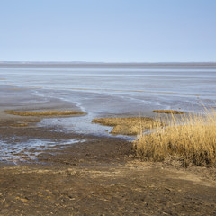 Nationalpark Scheswig-Holsteinisches Wattenmeer, Morsum,  Sylt, Nordfriesische Insel, Nordfriesland, Schleswig-Holstein, Deutschland, Europa