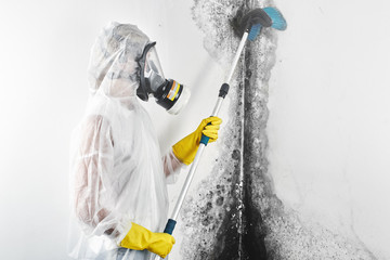 A professional disinfector in overalls processes the walls from mold with a brush. Removal of black...