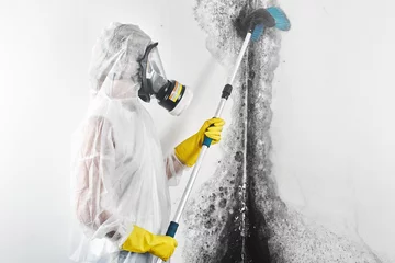 Fotobehang A professional disinfector in overalls processes the walls from mold with a brush. Removal of black fungus in the apartment and house. Aspergillus.. © amixstudio