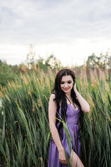 Obraz na płótnie Canvas Beautiful girl with long brown hair in a purple dress in a field at sunset. Eastern appearance. oriental