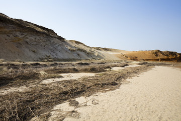 Naturschutzgebiet Morsum Kliff, Steilküste, Morsum,  Sylt, Nordfriesische Insel, Nordfriesland, Schleswig-Holstein, Deutschland, Europa