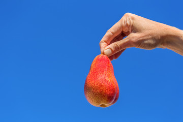 Hand holds red pear in blue sky