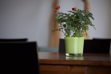 Fototapeta premium Blumen auf Tisch