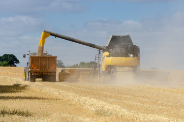 combine harvester collecting grain from field and pumping it into trailer attached to a tractor