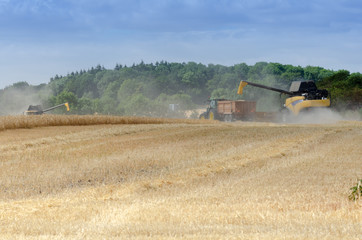 combine harvester collecting grain from field and pumping it into trailer attached to a tractor