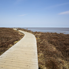 Weg durch die Heidelandschaft, Naturschutzgebiet Morsum Kliff, Morsum,  Sylt, Nordfriesische Insel, Nordfriesland, Schleswig-Holstein, Deutschland, Europa