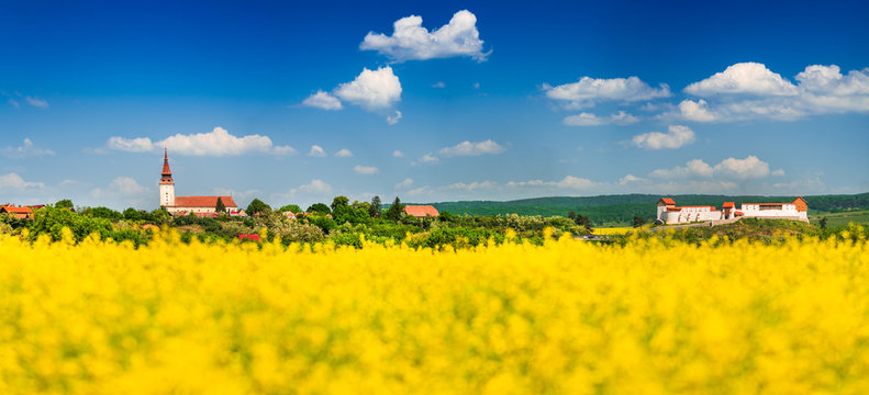 Rapeseed field, Feldioara fortress, Romania
