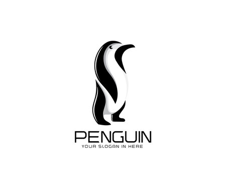 creative stand penguin logo vector design