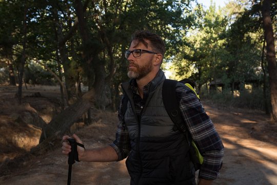 Male hiker standing in the forest road