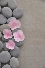  Roze hortensiabloemblaadjes met grijze stenen op grijze achtergrond © Mee Ting
