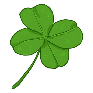 Vector Cartoon Illustration - Green Four-Leaf Clover. The Symbol of Luck.
