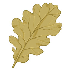 Fototapeta premium Vector Cartoon Illustration - Autumn Fallen Brown Leaf of Oak Tree