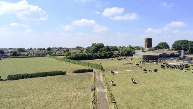Aerial view. panning move. Small town Tarvin, single track, cows, fields.