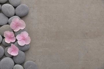  Pink hydrangea petals with pile of gray stones on gray background © Mee Ting