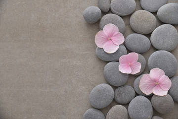 Fototapeta na wymiar Three Pink hydrangea petals with pile of gray stones on gray background