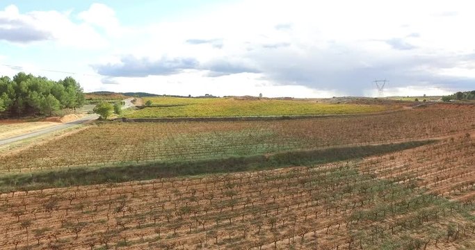 Views from drone of requena vineyards, Spain