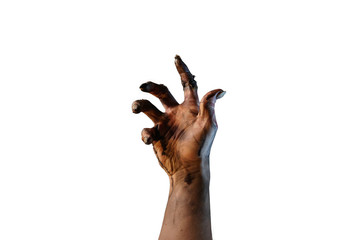 zombie hand sticking out on white background