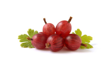 Red gooseberry with leaves isolated